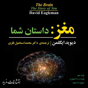 کتاب مغز داستان شما از دیوید ایگلمن - نقد و بررسی کتاب مغز داستان شما
